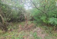 40.000 €, Teren Intravilan