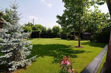 Vilă - 5 camere de inchiriat PIPERA - Bucuresti anunturi imobiliare Bucuresti