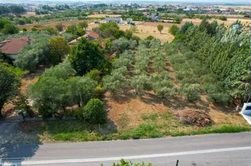 Teren construibil 1667 mp în Choristi, Drama anunturi imobiliare Grecia