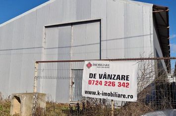 Sinesti -hala productie depozitare suprafata 1350 mp anunturi imobiliare Ialomita
