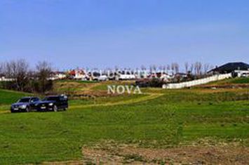 Teren INTRAVILAN pe malul Lacului Moara Domneasca Ganeasa deschidere la apa anunturi imobiliare Bucuresti