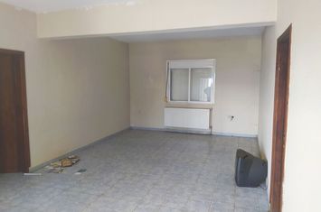 Casă individuală 118 mp, teren 1.350 mp - Akritochori anunturi imobiliare Grecia