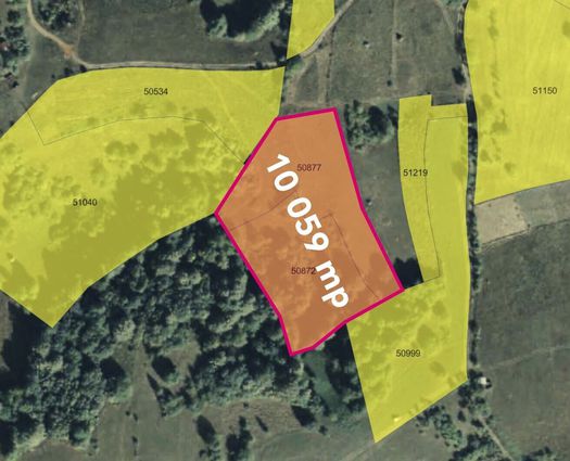 Teren Extravilan Rosia, 10059 mp