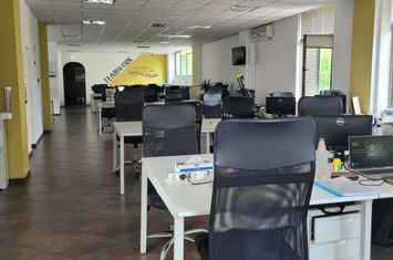 Birou de inchiriat IASI - Iasi anunturi imobiliare Iasi