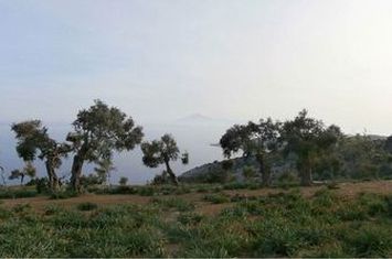 Teren construibil 8.804 mp în Theologos, Thassos anunturi imobiliare Grecia