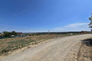 Teren de vanzare PALEU - Bihor anunturi imobiliare Bihor