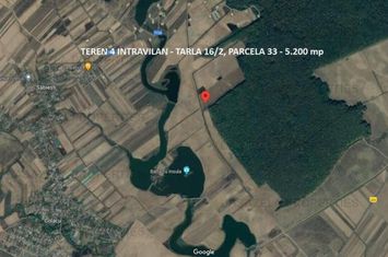 Terenuri intravilane in Racari, Colacu 10.000 + mp , Dambovita anunturi imobiliare Dambovita