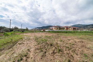 Teren construibil 2.424,70 mp în Perigiali, Kavala anunturi imobiliare Grecia
