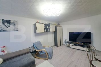 Apartament 3 camere de vanzare ASTRA - Brasov anunturi imobiliare Brasov