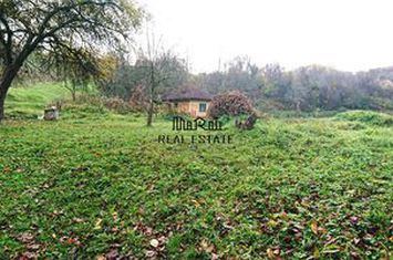 Teren Intravilan de vanzare BRAD - Hunedoara anunturi imobiliare Hunedoara