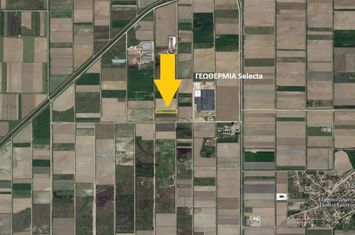 Teren agricol 2419 mp în Erateino anunturi imobiliare Grecia