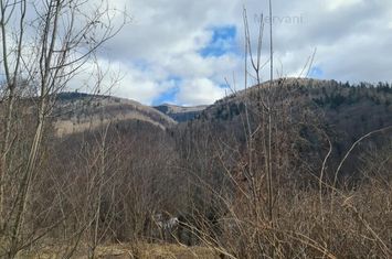 Teren de vânzare în Sinaia anunturi imobiliare Prahova