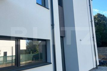 Vilă - 4 camere de vanzare LIPOVEI - Timis anunturi imobiliare Timis