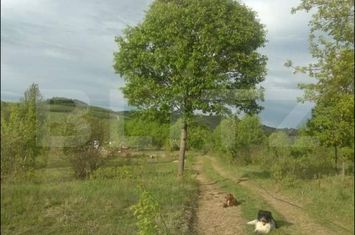 Teren de vanzare ALBA IULIA - Alba anunturi imobiliare Alba