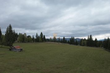 Teren Intravilan de vanzare FUNDU MOLDOVEI - Suceava anunturi imobiliare Suceava