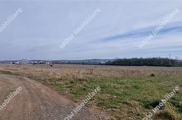 Teren Intravilan de vanzare CALEA SURII MICI - Sibiu anunturi imobiliare Sibiu