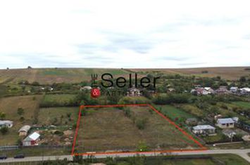 Ultima parcelă din 4. Teren intravilan 1000 mp. anunturi imobiliare Iasi