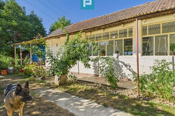 Casă 4 camere centru Vinga anunturi imobiliare Arad
