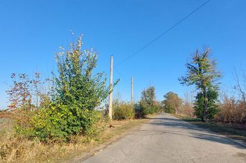 BALOTESTI- Teren1800 mp  langa Hornbach anunturi imobiliare Bucuresti