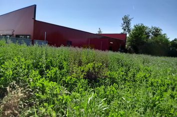 MOVILITA (IL) - SE INCHIRIAZA TEREN LANGA PROFI CU 0.5 EUR/MP/LUNA anunturi imobiliare Ialomita