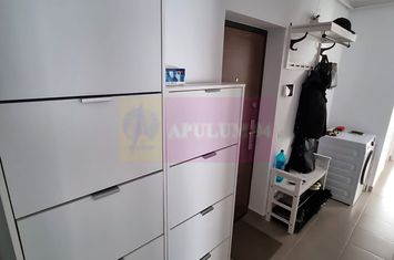 Apartament nou decomandat 3 camere Soseaua Oltenitei anunturi imobiliare Bucuresti