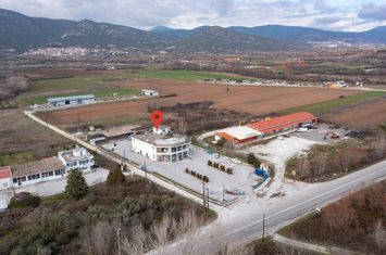 Spațiu industrial-comercial 1.200 mp, teren 4.150 mp anunturi imobiliare Grecia