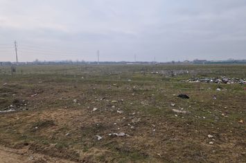 Teren de vanzare CERNELE - Dolj anunturi imobiliare Dolj