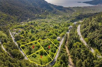 Teren construibil 2.177 mp în Panagia, Thassos anunturi imobiliare Grecia
