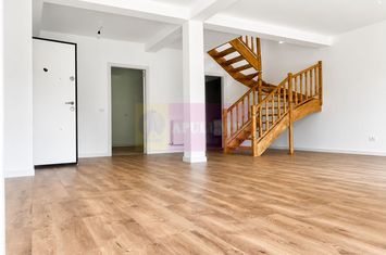 Duplex în vilă, 4 camere, renovat 2025, curte 250 mp, Mogoșoaia anunturi imobiliare Bucuresti