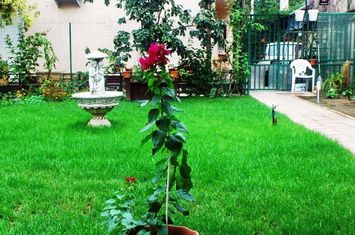 Soseaua Salaj, vanzare imobil P+1+M, 325 mp desfasurati, anunturi imobiliare Bucuresti