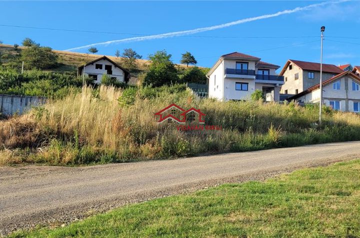 Teren Intravilan de vanzare SURA MARE - Sibiu anunturi imobiliare Sibiu
