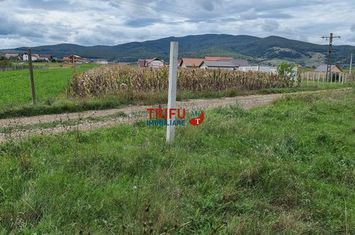 Teren Intravilan de vanzare BARABANT - Alba anunturi imobiliare Alba