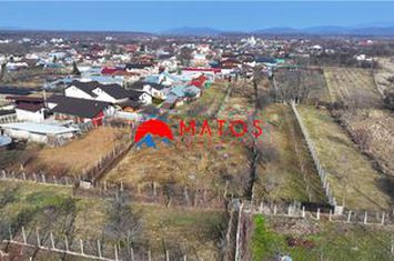Vilă - 4 camere de vanzare BAICOI - Prahova anunturi imobiliare Prahova