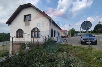 De Vânzare – Imobil Multifuncțional în  Șinteu, Bihor anunturi imobiliare Bihor