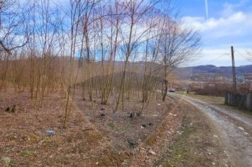 Teren 2,714mp de vanzare -  Strada Gura Vaii / Bujoreni anunturi imobiliare Valcea