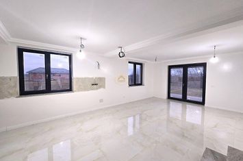 Vilă - 4 camere de vanzare SUD - Satu Mare anunturi imobiliare Satu Mare