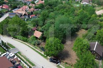 Teren de vanzare DRAMBAR - Alba anunturi imobiliare Alba