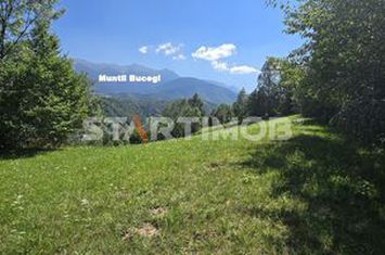 Teren intravilan Bran Podul Simonului anunturi imobiliare Brasov