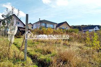 10 parcele teren intravilan intre 450 mp, și 617 mp  Corunca anunturi imobiliare Mures