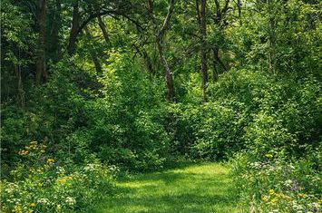 Casă - 2 camere de vanzare VALCELE - Covasna anunturi imobiliare Covasna