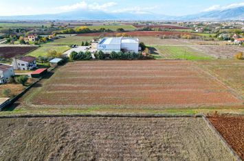 Teren construibil 7425 mp în Nea Kromni anunturi imobiliare Grecia