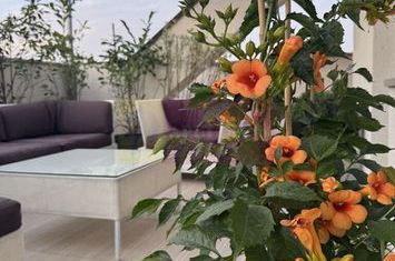 Apartament 3 camere cu terasă 133 mp, Timpuri Noi anunturi imobiliare Bucuresti