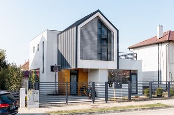 Vilă - 5 camere de vanzare CETATE - Alba anunturi imobiliare Alba