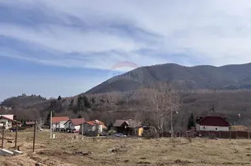 Teren 1,697mp Cisnadioara / Strada Silvicultorilor anunturi imobiliare Sibiu