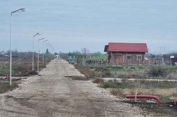 Proprietar - VÂNZARE LOTURI - Popești Leordeni anunturi imobiliare Bucuresti