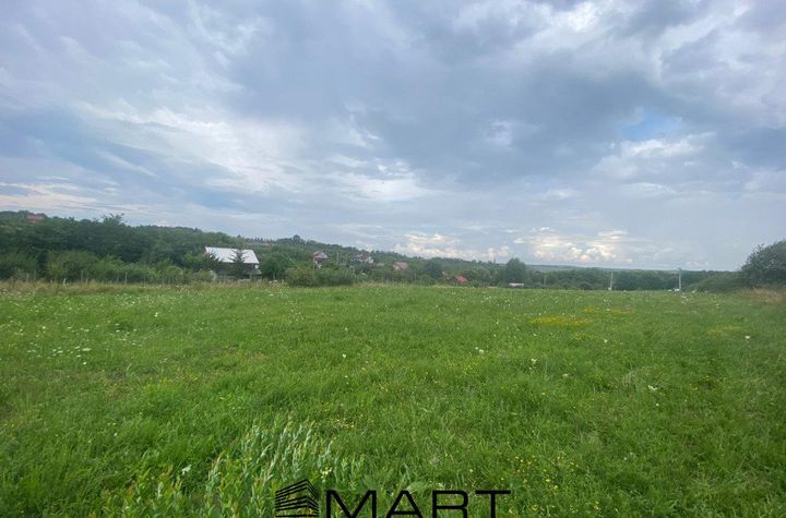 Teren de vanzare DAIA - Sibiu anunturi imobiliare Sibiu