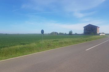 Teren intravilan arabil 55.400 m.p. Vasilati, Jud. Calarasi anunturi imobiliare Calarasi