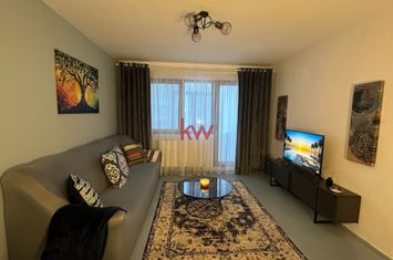 Apartament 2 camere de inchiriat IASI - Iasi anunturi imobiliare Iasi