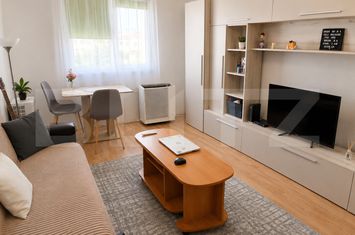 Garsonieră de inchiriat CLUJ-NAPOCA - Cluj anunturi imobiliare Cluj