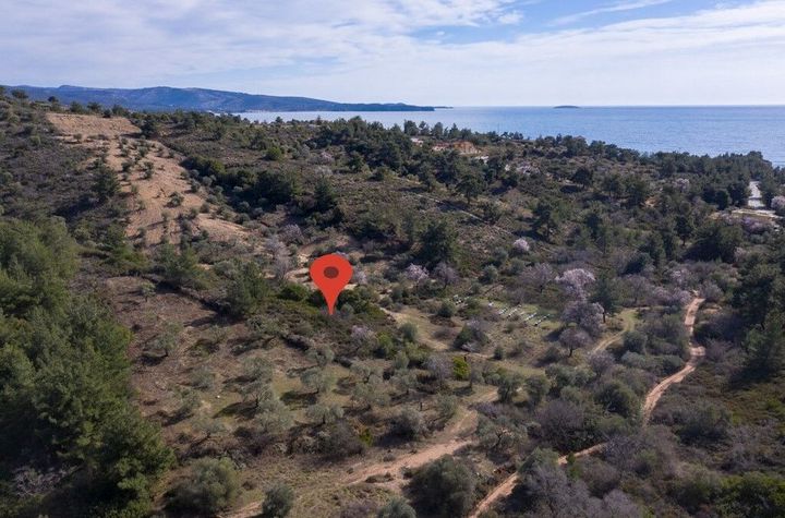 Teren 1.284 mp în Limenaria, 200 m de mare anunturi imobiliare Grecia